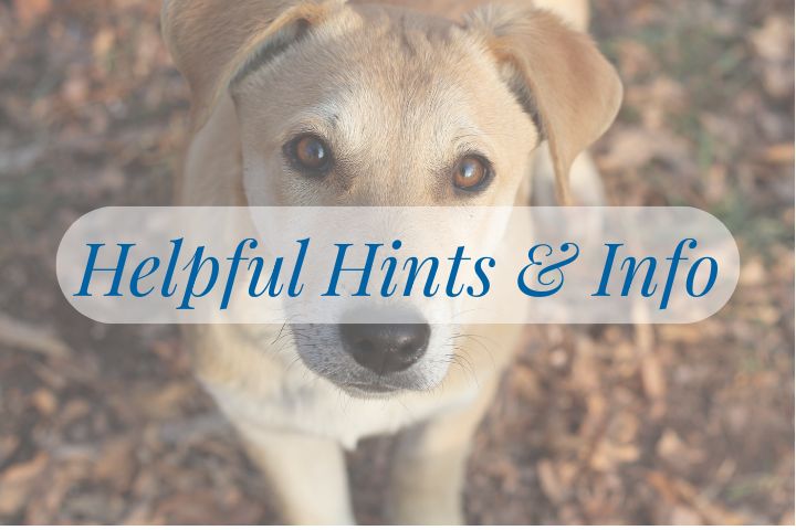 Thing To Do Helpful Hints & Info